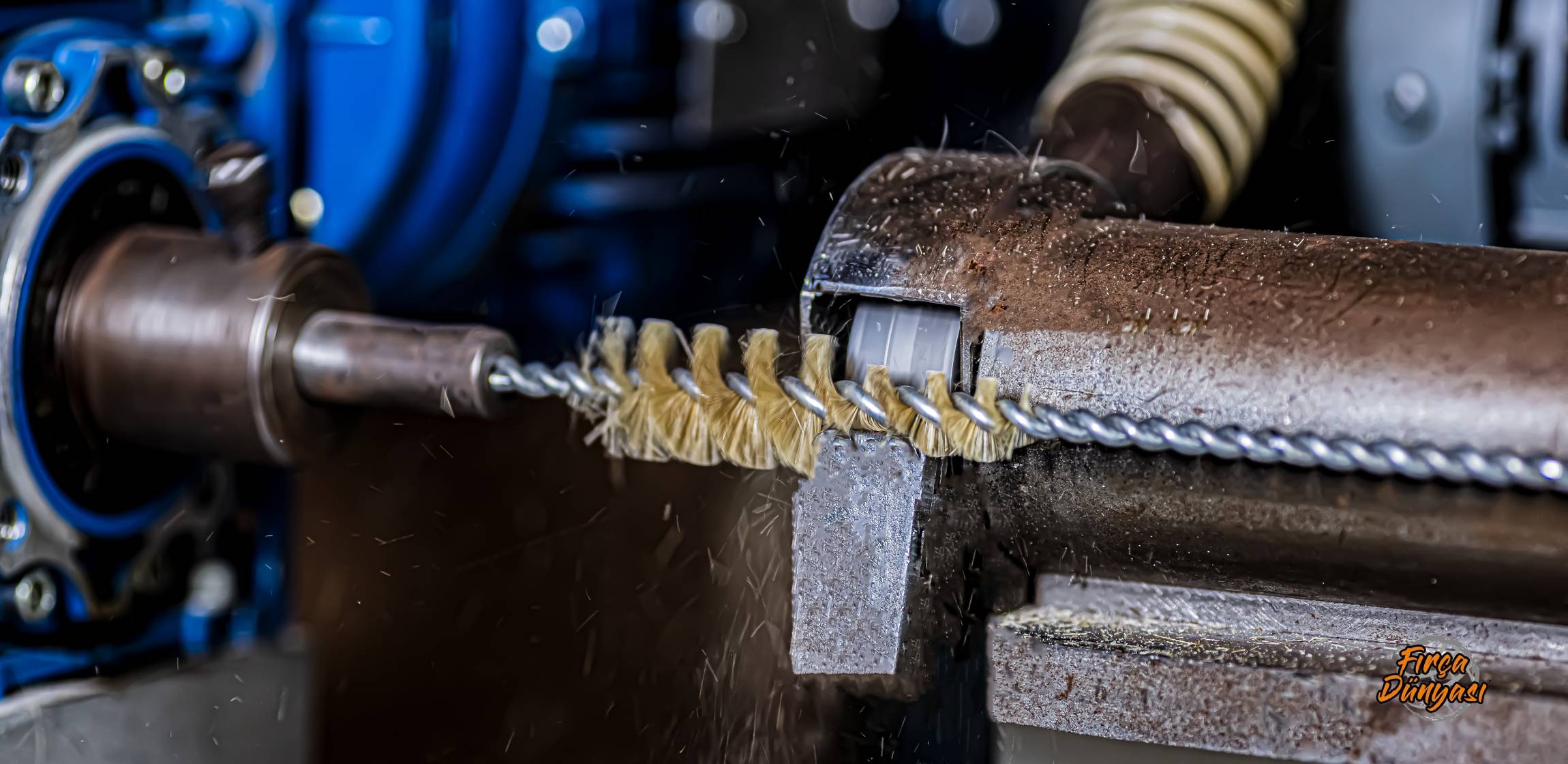 lorem ipsum dolor sit